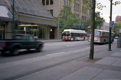 P7244-P7246_IMGN_131