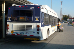 scmt P1000325