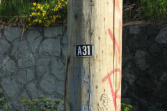 May 23rd 2009