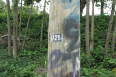 6th June 2009