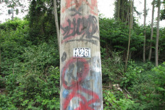 6th June 2009