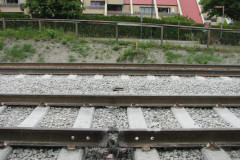 6th June 2009