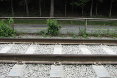 6th June 2009