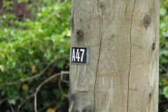 6th June 2009