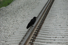 6th June 2009
