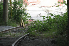 20th June 2009