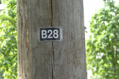20th June 2009