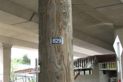 20th June 2009