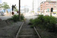 20th June 2009