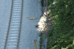 28 June 2009
