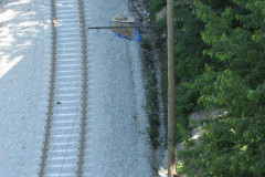 28 June 2009