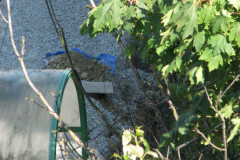 28 June 2009