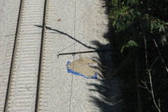 28 June 2009