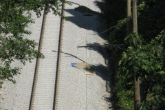 28 June 2009