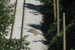 28 June 2009