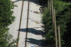 28 June 2009