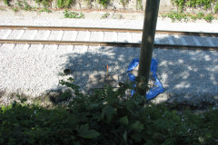 28 June 2009