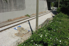 28 June 2009
