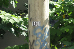 28 June 2009