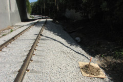28 June 2009