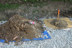 28 June 2009