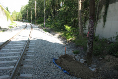 28 June 2009