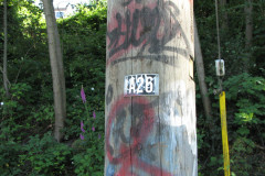 28 June 2009