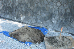 28 June 2009