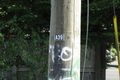 28 June 2009