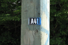 28 June 2009