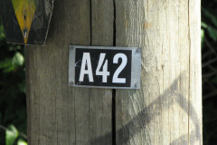 28 June 2009