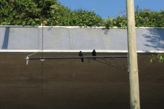 28 June 2009