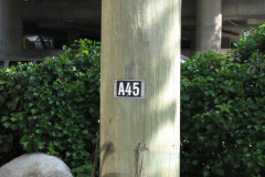 28 June 2009