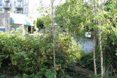 28 June 2009