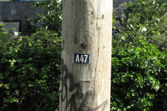 28 June 2009