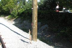 28 June 2009