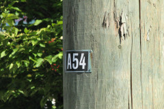 28 June 2009