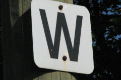 28 June 2009