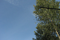 July 4th 2009
