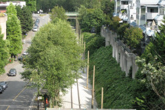25th July 2009