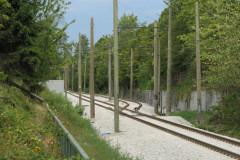 25th July 2009