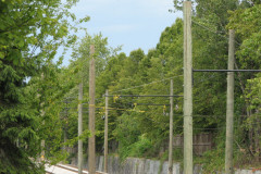 25th July 2009