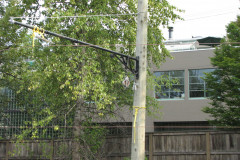 25th July 2009