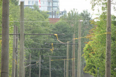 25th July 2009