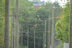 25th July 2009