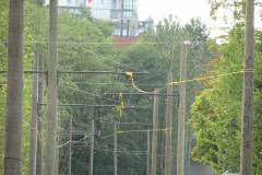 25th July 2009