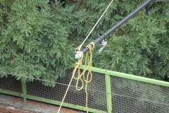 8th August 2009