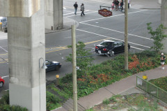 8th August 2009