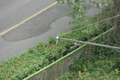 8th August 2009