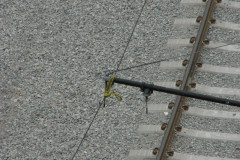 8th August 2009